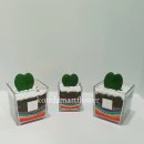 사랑아트유치원, 중동사랑아트유치원 | [공지] 유치원 우리 아이들에게 전하는 초록색 사랑, '하트호야' 납품 후기 🌱❤️