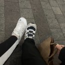 목동쿠시 이미지