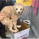 덕명로 이미지