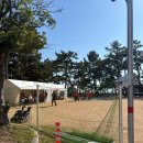 문진주유소 | 고베마라톤 참가후기_2