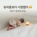 아이캔디자인 | 아기냉감패드 추천｜듀라론보다 시원했던 캔코 포르페쿨매트 한 달 사용 후기