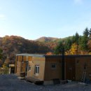 곰배누리 이미지