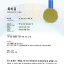 씨솔