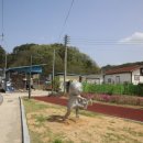 매화초교-1구간 이미지