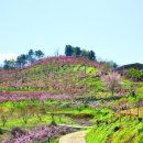 반곡저수지 이미지