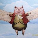 금다래캠핑장 이미지