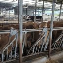 합천가든 이미지