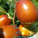 삼성현대세탁 이미지