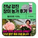 강진-30 | [후기] 🌹 전국 장미 30% 생산지, 강진에서 10년간 선택받은 펄라이트 배지의 비밀!