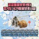 고양시 동물보호센터 | 경기도 동물보호센터 경기도 공공 동물보호센터 경기도 유기동물보호센터