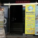 수진애견미용 이미지