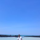 (주)썸제주