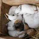 농은목장 이미지