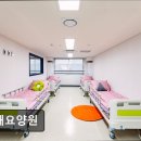 고래요양원 | [인천 요양원/추천/가격/후기] 고래요양원 인천 고래요양원, 안전한 재활 서비스
