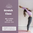 웰빙댄스스포츠 이미지
