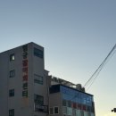 김삿갓초장 | 부산 사상 엄궁 활어회 센터 2층 [회초장집 김삿갓] 영광활어 전어 먹고 온 후기