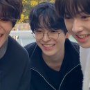 이리안경 이미지