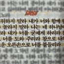뚜 바 비앙 이미지