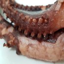 대발통상