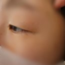 숲아이래쉬 | 해운대속눈썹 숲아이래쉬 속눈썹펌 잘하는 곳