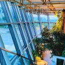 초록큰사랑약국 이미지