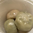 국수나무세종 이미지