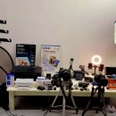 우포늪 생태 사진전 이미지