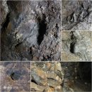 대전서 일제강점기 동굴 12개 최종 확인…"우리역사 파악 노력 필요" 이미지