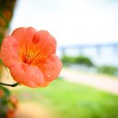 뚝섬한강공원-56 이미지