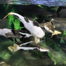 서천생태공원 이미지