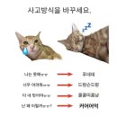 예인한의원 | 나이스 7월