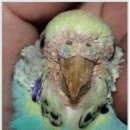 군포굿닥터동물병원 이미지