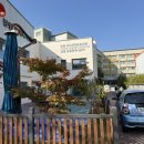 장림무지개 작은도서관 | 16개월 아기랑 무지개작은도서관