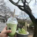 자매칼국수 이미지