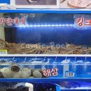 가락유통 이미지