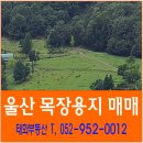 태화부동산공인중개사사무소 이미지