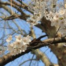 풍경운동장 이미지