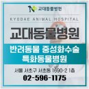 해온동물병원 이미지