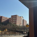 삼일초등학교 건너편 이미지
