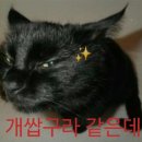 구라 - 사상구 | 구라