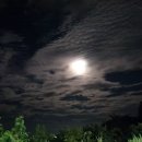 욕지도 하늘정원 이미지