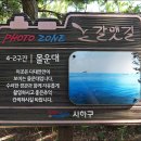 몰운대 이미지