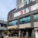 광주 첨단 속눈썹 펌 자연스럽게 잘하는 새미브로우