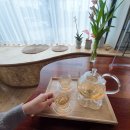 건강한 약초 이미지