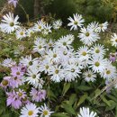 서울이앤이치과의원 이미지