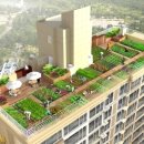 조성아파트 이미지