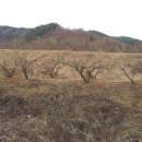 정한농원 이미지