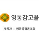 영동감 협동조합 이미지