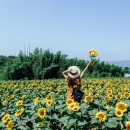 로우포맷 | GFX100RF 사용후기#2/후지 중형 카메라/ 동아카메라 TP존/픅백사진