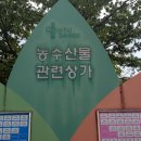 금봉식품 이미지